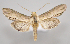  ( - MM28044)  @11 [ ] by-nc (2023) Jari Junnilainen Unspecified