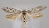  ( - MM28053)  @11 [ ] by-nc (2023) Jari Junnilainen Unspecified