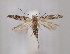  ( - MM28079)  @11 [ ] by-nc (2023) Jari Junnilainen Unspecified