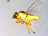  ( - 10PROBE-09637)  @13 [ ] CreativeCommons - Attribution (2011) CBG Photography Group Centre for Biodiversity Genomics