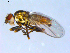  ( - 10PROBE-09654)  @13 [ ] CreativeCommons - Attribution (2011) CBG Photography Group Centre for Biodiversity Genomics