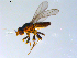  ( - 10PROBE-07697)  @13 [ ] CreativeCommons - Attribution (2011) CBG Photography Group Centre for Biodiversity Genomics