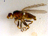  ( - 10PROBE-07741)  @13 [ ] CreativeCommons - Attribution (2011) CBG Photography Group Centre for Biodiversity Genomics