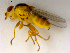  ( - 10PROBE-07747)  @13 [ ] CreativeCommons - Attribution (2011) CBG Photography Group Centre for Biodiversity Genomics
