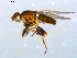  ( - 10PROBE-07758)  @14 [ ] CreativeCommons - Attribution (2011) CBG Photography Group Centre for Biodiversity Genomics