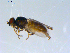  ( - 10PROBE-09310)  @12 [ ] CreativeCommons - Attribution (2011) CBG Photography Group Centre for Biodiversity Genomics