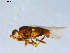  ( - 10PROBE-09324)  @13 [ ] CreativeCommons - Attribution (2011) CBG Photography Group Centre for Biodiversity Genomics