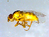  ( - 10PROBE-09341)  @13 [ ] CreativeCommons - Attribution (2011) CBG Photography Group Centre for Biodiversity Genomics