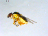  ( - 10PROBE-09365)  @12 [ ] CreativeCommons - Attribution (2011) CBG Photography Group Centre for Biodiversity Genomics