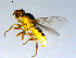  ( - 10PROBE-09369)  @13 [ ] CreativeCommons - Attribution (2011) CBG Photography Group Centre for Biodiversity Genomics