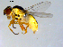  ( - 10PROBE-09383)  @13 [ ] CreativeCommons - Attribution (2011) CBG Photography Group Centre for Biodiversity Genomics