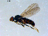 ( - 10PROBE-09397)  @13 [ ] CreativeCommons - Attribution (2011) CBG Photography Group Centre for Biodiversity Genomics