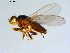  ( - 10PROBE-09409)  @13 [ ] CreativeCommons - Attribution (2011) CBG Photography Group Centre for Biodiversity Genomics