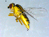  ( - 10PROBE-09416)  @13 [ ] CreativeCommons - Attribution (2011) CBG Photography Group Centre for Biodiversity Genomics