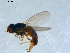  ( - 10PROBE-09437)  @13 [ ] CreativeCommons - Attribution (2011) CBG Photography Group Centre for Biodiversity Genomics