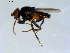  ( - 10PROBE-09457)  @13 [ ] CreativeCommons - Attribution (2011) CBG Photography Group Centre for Biodiversity Genomics