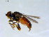  ( - 10PROBE-09470)  @13 [ ] CreativeCommons - Attribution (2011) CBG Photography Group Centre for Biodiversity Genomics