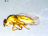  ( - 10PROBE-09516)  @12 [ ] CreativeCommons - Attribution (2011) CBG Photography Group Centre for Biodiversity Genomics