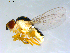  ( - 10PROBE-09535)  @13 [ ] CreativeCommons - Attribution (2011) CBG Photography Group Centre for Biodiversity Genomics