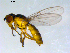  ( - 10PROBE-09544)  @13 [ ] CreativeCommons - Attribution (2011) CBG Photography Group Centre for Biodiversity Genomics