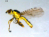  ( - 10PROBE-09569)  @13 [ ] CreativeCommons - Attribution (2011) CBG Photography Group Centre for Biodiversity Genomics