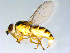  ( - 10PROBE-09573)  @13 [ ] CreativeCommons - Attribution (2011) CBG Photography Group Centre for Biodiversity Genomics