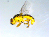  ( - 10PROBE-09575)  @13 [ ] CreativeCommons - Attribution (2011) CBG Photography Group Centre for Biodiversity Genomics