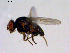  ( - 10PROBE-11396)  @14 [ ] CreativeCommons - Attribution (2011) CBG Photography Group Centre for Biodiversity Genomics