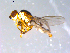  ( - 10PROBE-11399)  @12 [ ] CreativeCommons - Attribution (2011) CBG Photography Group Centre for Biodiversity Genomics