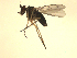  ( - 07PROBE-JW0008)  @13 [ ] CreativeCommons - Attribution (2010) Unspecified Centre for Biodiversity Genomics