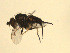  ( - 07PROBE-JW0010)  @12 [ ] CreativeCommons - Attribution (2010) Unspecified Centre for Biodiversity Genomics