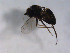  ( - 07PROBE-JW0011)  @12 [ ] CreativeCommons - Attribution (2010) Unspecified Centre for Biodiversity Genomics