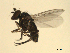  ( - 07PROBE-JW0019)  @12 [ ] CreativeCommons - Attribution (2010) Unspecified Centre for Biodiversity Genomics