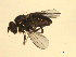  ( - 07PROBE-JW0024)  @12 [ ] CreativeCommons - Attribution (2010) Unspecified Centre for Biodiversity Genomics