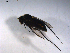  ( - 07PROBE-JW0034)  @12 [ ] CreativeCommons - Attribution (2010) Unspecified Centre for Biodiversity Genomics