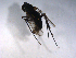  ( - 07PROBE-JW0038)  @12 [ ] CreativeCommons - Attribution (2010) Unspecified Centre for Biodiversity Genomics