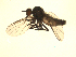  ( - 07PROBE-JW0048)  @12 [ ] CreativeCommons - Attribution (2010) Unspecified Centre for Biodiversity Genomics