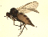  ( - 07PROBE-JW0055)  @13 [ ] CreativeCommons - Attribution (2010) Unspecified Centre for Biodiversity Genomics