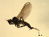  ( - 07PROBE-JW0103)  @12 [ ] CreativeCommons - Attribution (2010) Unspecified Centre for Biodiversity Genomics