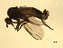  ( - 07PROBE-JW0105)  @12 [ ] CreativeCommons - Attribution (2010) Unspecified Centre for Biodiversity Genomics
