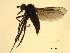  ( - 07PROBE-JW0107)  @13 [ ] CreativeCommons - Attribution (2010) Unspecified Centre for Biodiversity Genomics