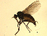  ( - 07PROBE-JW0118)  @13 [ ] CreativeCommons - Attribution (2010) Unspecified Centre for Biodiversity Genomics