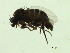  ( - 07PROBE-JW0146)  @12 [ ] CreativeCommons - Attribution (2010) Unspecified Centre for Biodiversity Genomics