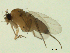  ( - 07PROBE-JW0161)  @12 [ ] CreativeCommons - Attribution (2010) Unspecified Centre for Biodiversity Genomics