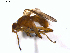 ( - 07PROBE-JW0288)  @13 [ ] CreativeCommons - Attribution (2010) Unspecified Centre for Biodiversity Genomics