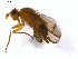  ( - 07PROBE-JW0291)  @14 [ ] CreativeCommons - Attribution (2010) Unspecified Centre for Biodiversity Genomics