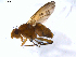  ( - 07PROBE-JW0303)  @13 [ ] CreativeCommons - Attribution (2010) Unspecified Centre for Biodiversity Genomics