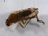  ( - 07PROBE-JW0331)  @13 [ ] CreativeCommons - Attribution (2010) Unspecified Centre for Biodiversity Genomics
