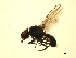  ( - 07PROBE-JW0356)  @12 [ ] CreativeCommons - Attribution (2010) Unspecified Centre for Biodiversity Genomics