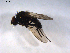  ( - 07PROBE-JW0382)  @12 [ ] CreativeCommons - Attribution (2010) Unspecified Centre for Biodiversity Genomics